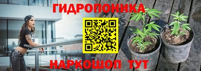бошки Кунгур