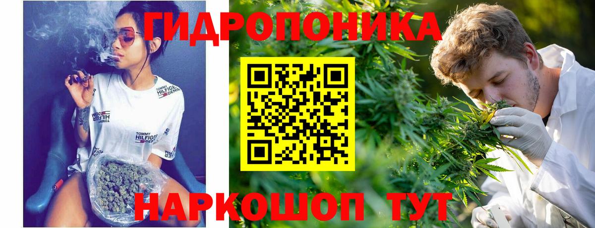 Марихуана индика Кириши